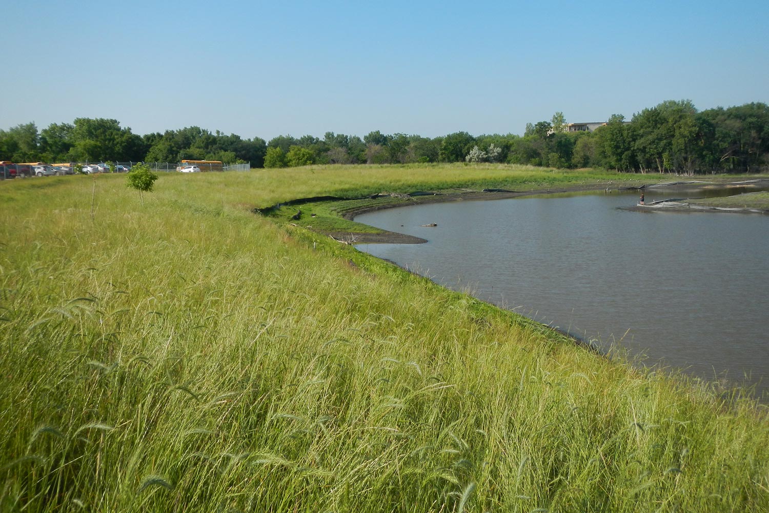 Remediation & Restoration Of Altered Landscapes - Native Plant Solutions