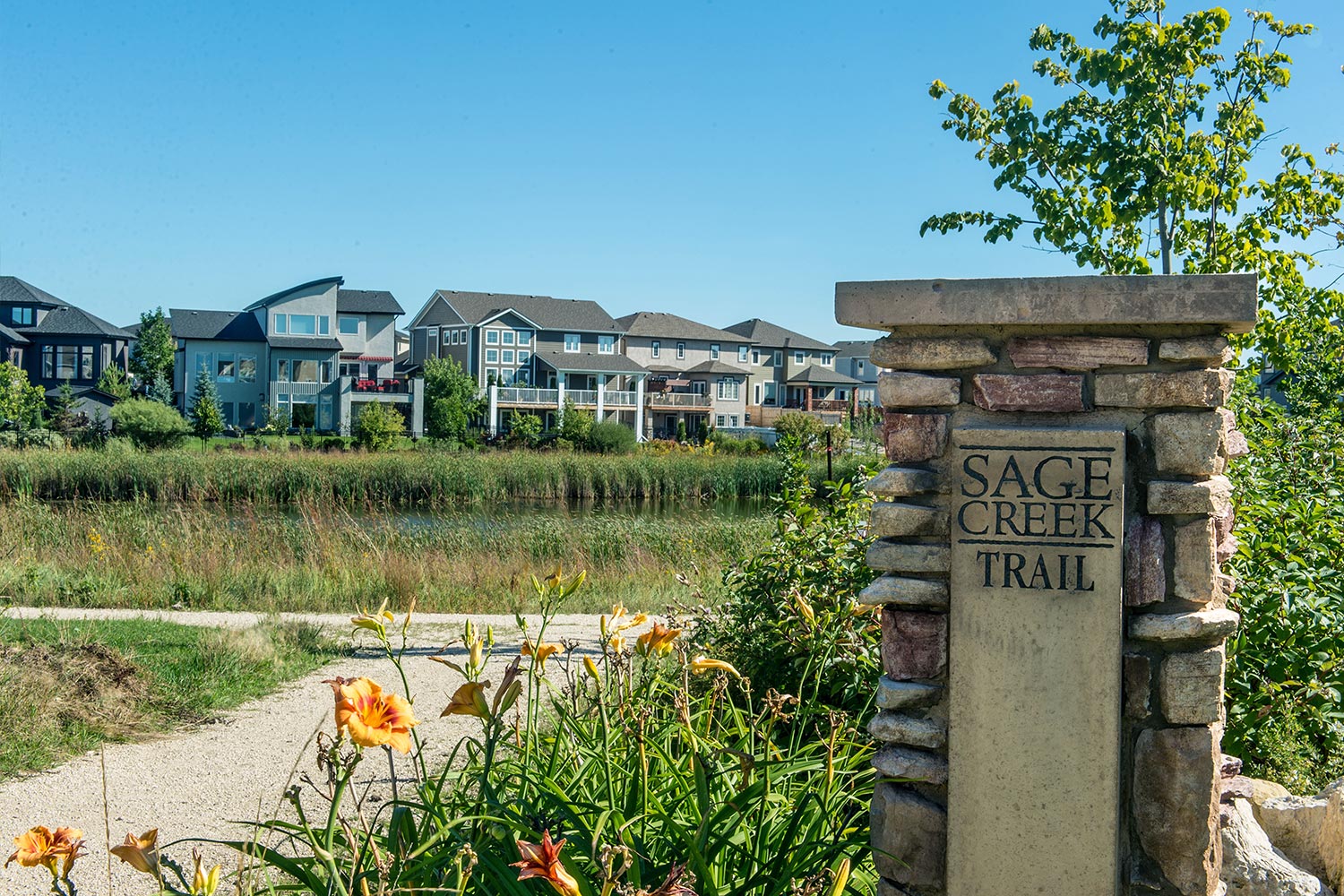 Sage Creek Native Plant Solutions